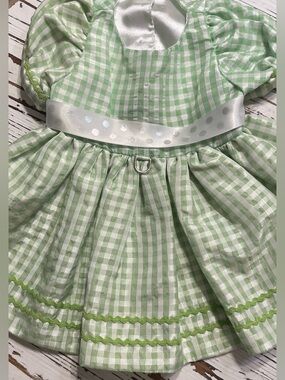 Green Gingham Dog Dress with White Satin Trim
Medium